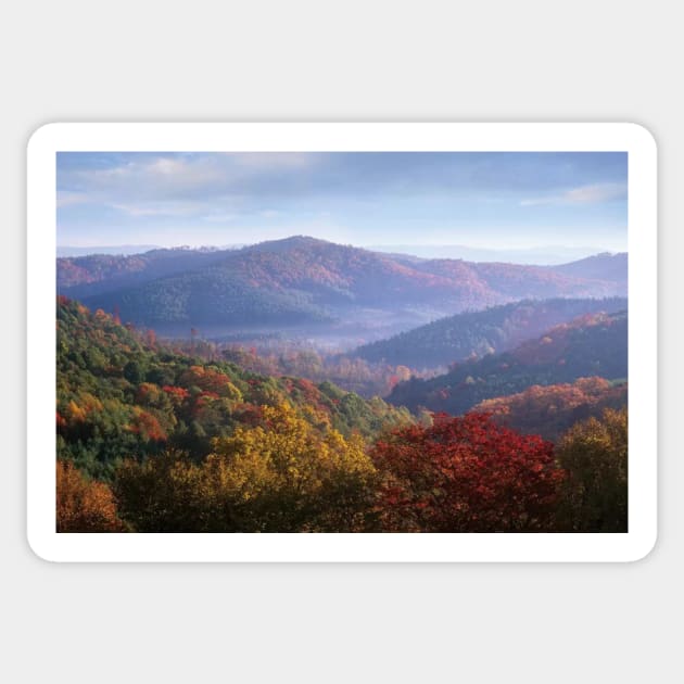 Autumn Deciduous Forest From The Blue Ridge Parkway North Carolina Sticker by RhysDawson